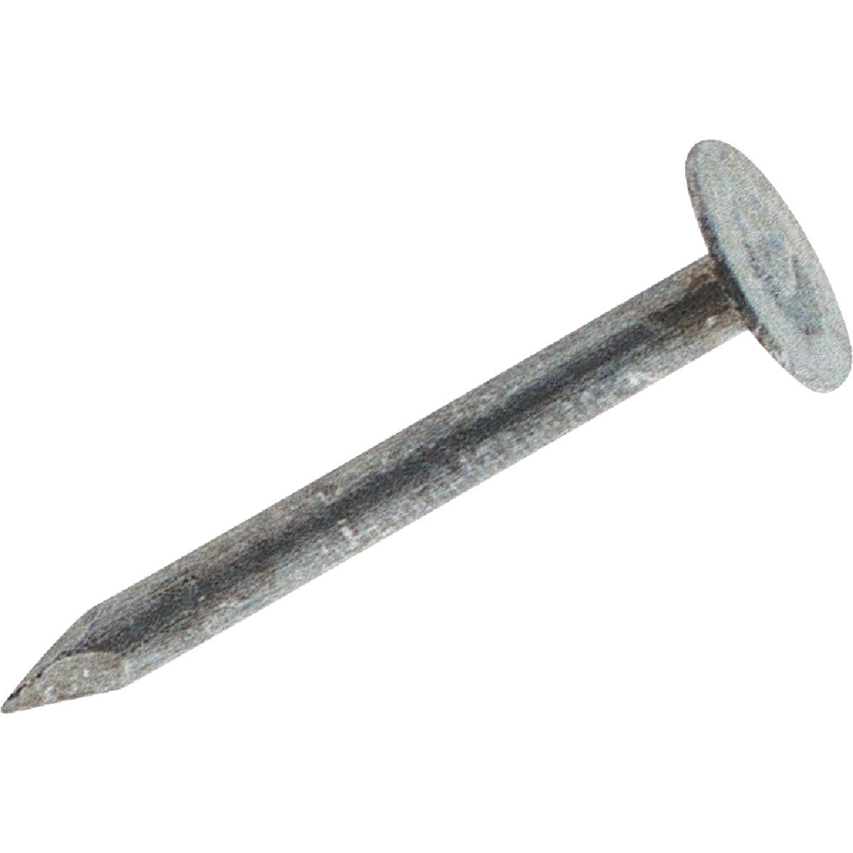 BSC PREFERRED Bsc Preferred 723497 Electrogalvanized Roofing Nails 1 Lb