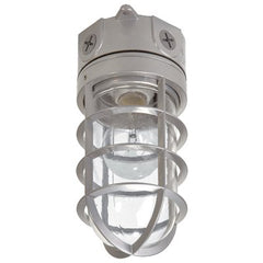 True Value VT100G Floodlight With Bulb Guard, Incandescent, 100-Watt