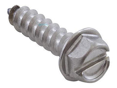 Waterway Plastics 819-0013 Hex Slotted Screw 1/4 Inch x 1 1/4 Inch