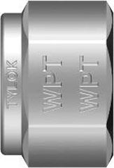 Tylok SSDN-4 1/4 in. Stainless Steel Hex Nut