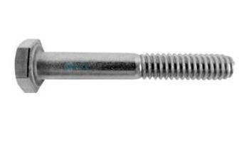 Pentair 356797 Hex Head Screw | 1/4-20 x 1-3/4 | Stainless Steel | 356797