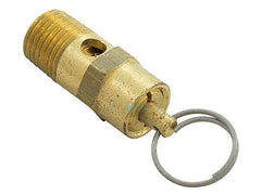 Pentair 350087 Pressure Relief Valve 1/4 Inch NPT Replacement for EQ-Series Commercial Pool and Spa Pump