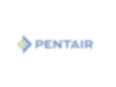 Pentair 51516100 Check Valve Kit For Pool and Spa Filters