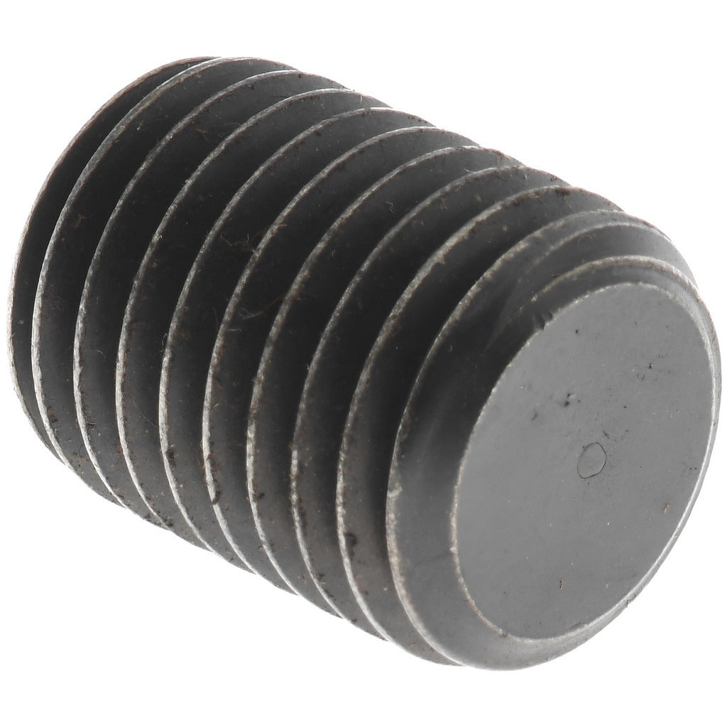 VALUE COLLECTION Value Collection 832312PS Set Screw M16x2 20mm Flat Point