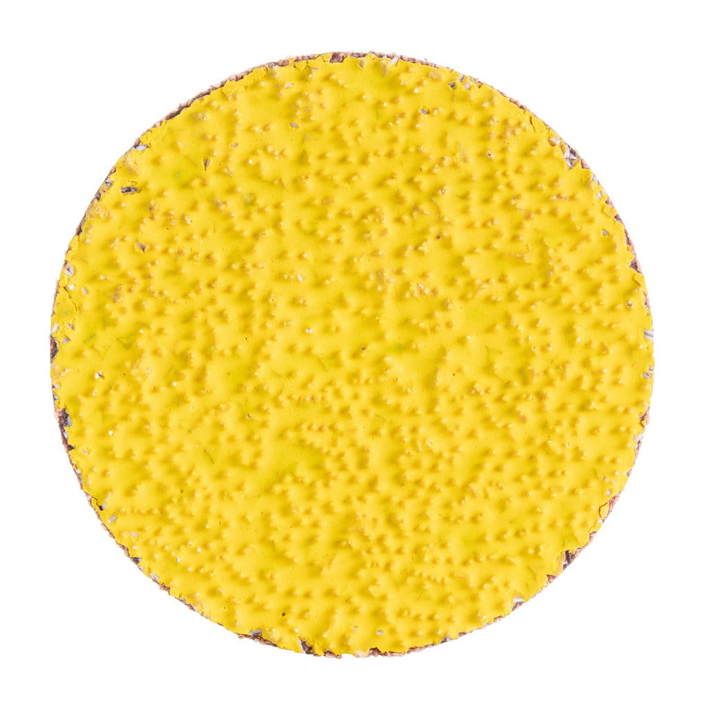 NORTON Norton 66254427834 Quick-change Disc 2in 36 Grit Type Iii