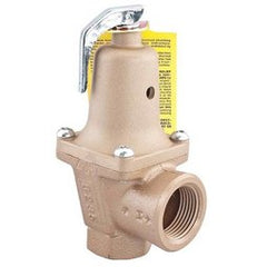 Watts Regulator 740-50-1FS Relief Valve Water Pressure with Flood Sensor 1 Inch Female Iron 50PSI 250 Degrees Fahrenheit