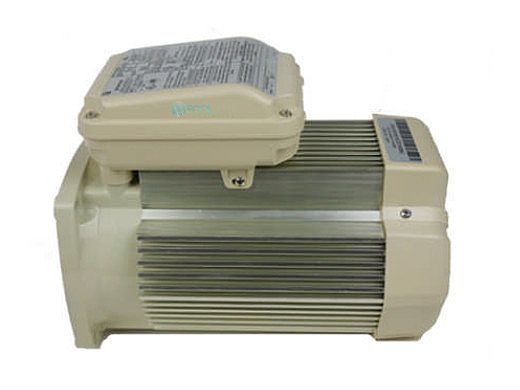 PENTAIR 354823S NEMA & TEFC MOTORS