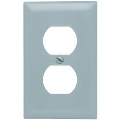 Pass & Seymour TP8GRY 1Gang Wall Plate, Duplex Receptacle, Thermoplastic, Gray