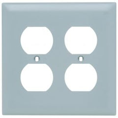 Pass & Seymour TP82GRY 2Gang Wall Plate Duplex Receptacle Nylon Standard - Gray