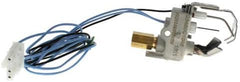 Heil Quaker ICP 1149856 Pilot Assembly & Flame Sensor Modern Burner Natural & LP Gas