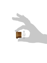 169332339.jpg