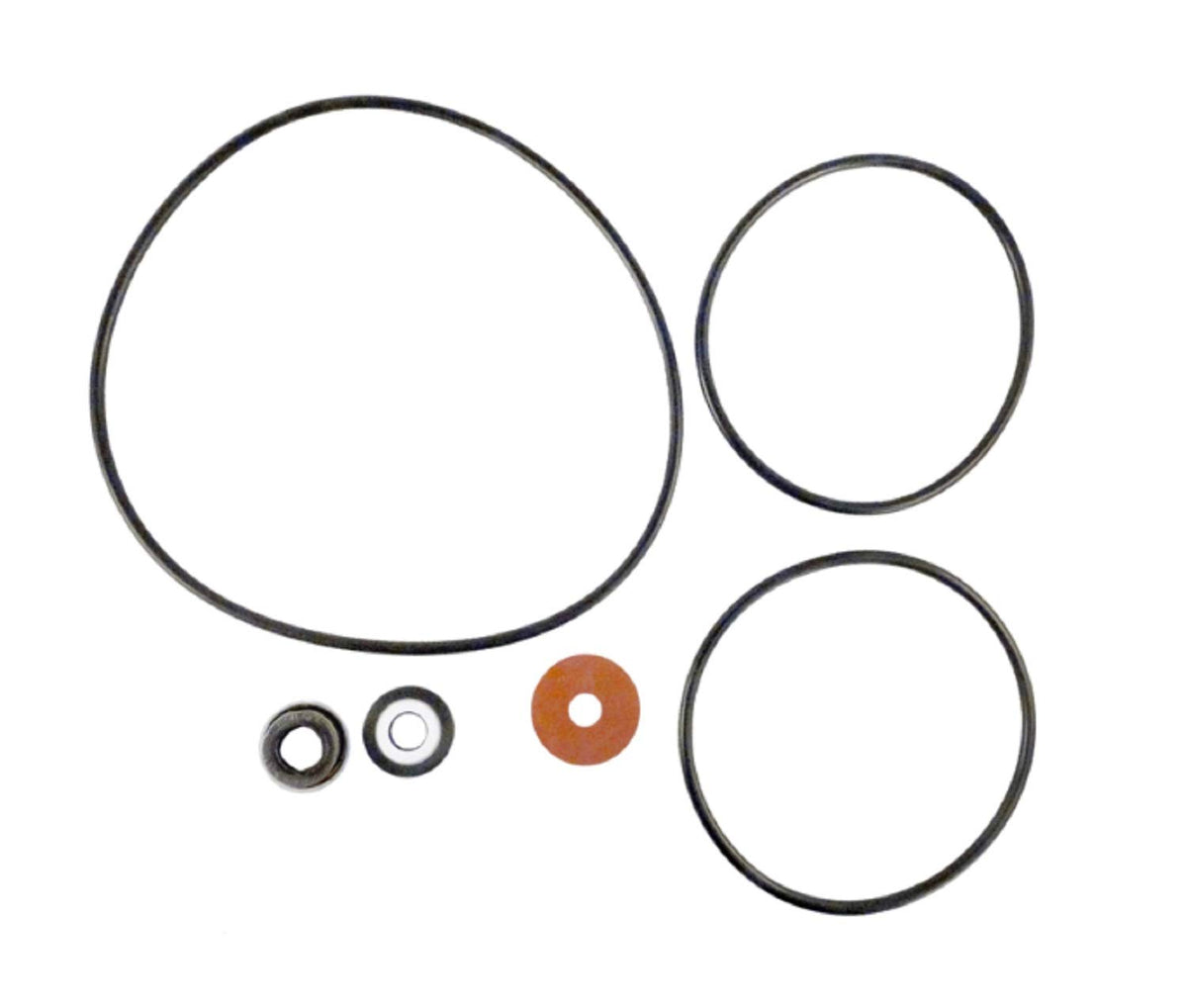 PENTAIR RPK-SP POOL O-RINGS & GASKETS