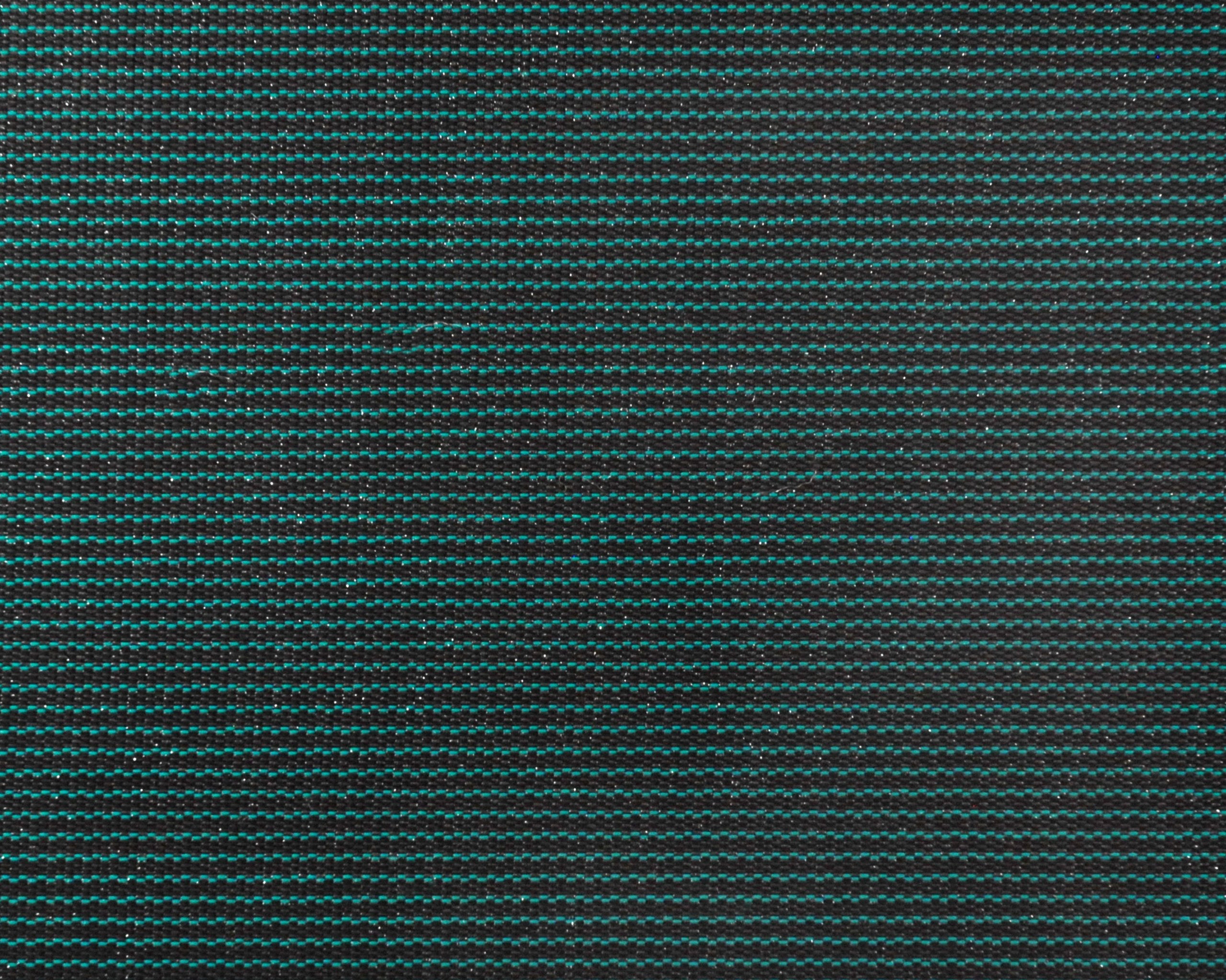 169336036.jpg