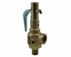 Apollo Valves 19-KJHA-125 19 Series 2 x 2.5 Inch 125# Bronze Threaded Relief Valve