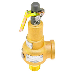 Kunkle Valve 6010FEM01AAM0015 Bronze Safety Relief Valve 1 Inch MNPT x 1-1/4 Inch FNPT 15 PSI