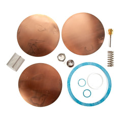 Watts 0875725 Repair Kit Series 152A 1-1/2 to 2 inches