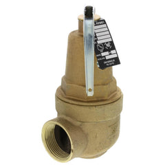 Apollo Valves 10-615-16 1 INCH FNPT x 1-1/4 INCH FNPT RVW61 3,381,000 BTU Bronze Hot Water Relief Valve (80 PSI)