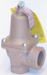 Watts 0382820 Relief Valve 50 PSI 1 IN X 1-1/4 IN