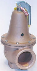 Watts 0384242 740A-2 NPT Bronze Pressure Relief Valve Hot Water 45 PSI Replacement 0384242