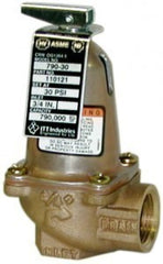 Bell & Gossett 110124 790 50 ASME Relief Valve 3/4 inch NPT Safety Relief Valve for Hot Water