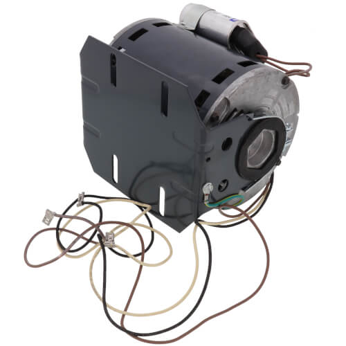 169604051.jpg