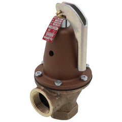 Watts 0275600 Pressure Relief Valve Bronze FNPT 1-1/4 Inch 30 PSI Replacement 0275600