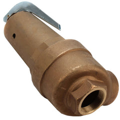 Apollo Valves 10-618-05 Hot Water Relief Valve 2 Inch FNPT x 2-1/2 Inch FNPT - 6091000 BTU Bronze 30 PSI