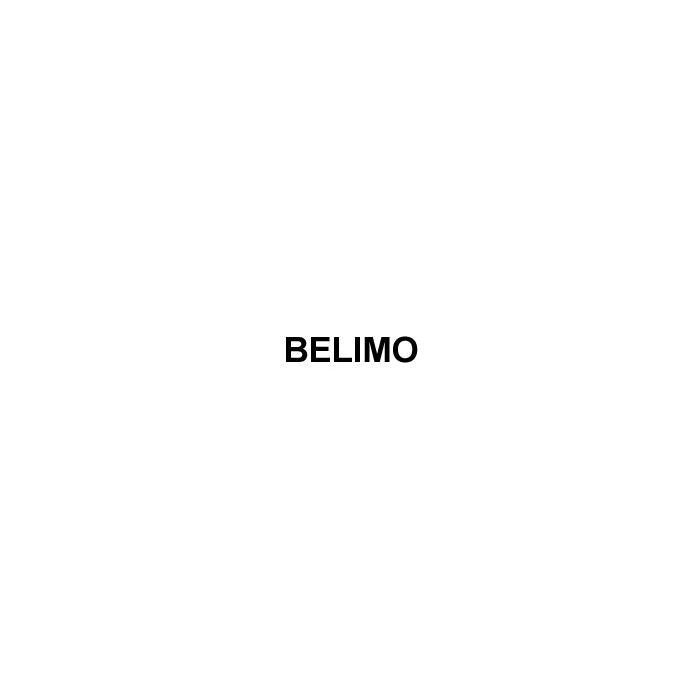 Belimo G765+AFBUP-X1 Globe Valve Spring Return 24-240V