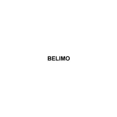 Belimo G765+AFBUP-X1 Globe Valve Spring Return 24-240V