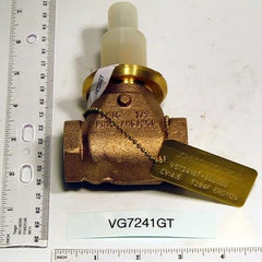 Johnson Controls VG7441GS Brass Trim Globe Valve 1/2 Inch NPT 2-Way