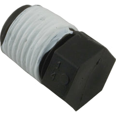 Pentair R172007 Plug Pentair Standard & High Square Feet Module Filters & Automatic Feeder 1/4 Inch NPT