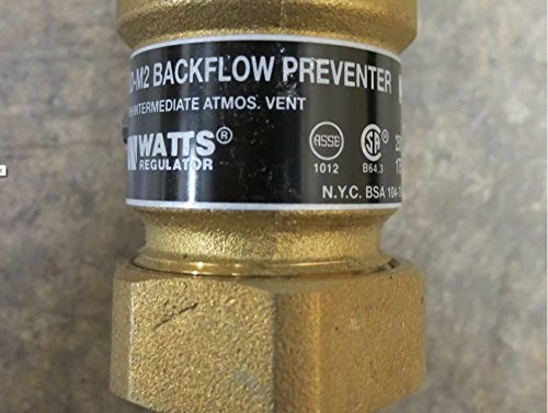 WATTS 61888 CHECK VALVES