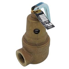 Apollo Valves 10-605-15 1 Inch FNPT RVW60 2,728,000 BTU Bronze Hot Water Relief Valve, 75 PSIG