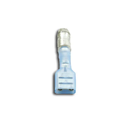 170169208.webp