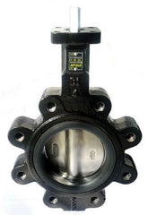 Apollo Valves LD141-03-DE11 Butterfly Valve 200 PSI 3 Inch Lug Style 10 Position Lever