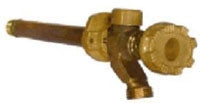 Woodford 19PX_12IN Freezeless Wall Faucet PEX x MHT 12 Inch