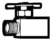 Holyoke Fittings 226-4 1/4 Inch MPT x FPT Straight Seat Needle Valve