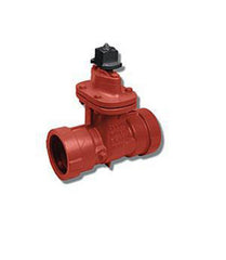 Matco-Norca 10RT09 Resilient Wedge Gate Valve, 2-1/2 Inch, 200 PSI, Epoxy Coated