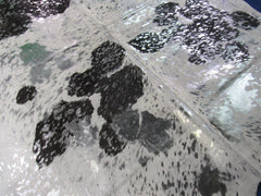 171076945.jpg