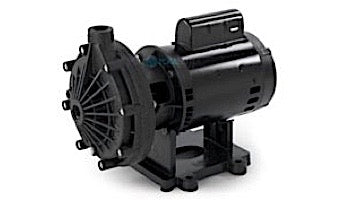 PENTAIR Pentair EC-LA01N Booster Pump 0.75HP 115V/230V