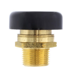 WATTS 0556031 LFN36M1 MNPT 15 PSI Brass Vacuum Relief Valve