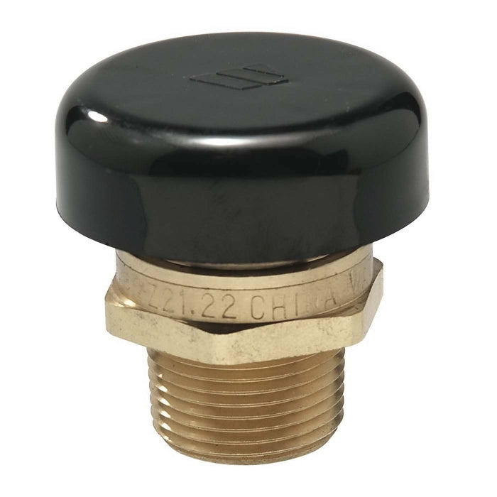 WATTS 0556031 LFN36M1 MNPT 15 PSI Brass Vacuum Relief Valve