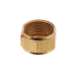 Wal-Rich 1723200 Gauge Glass Nut 5/8 In Replacement GGLASSNUT