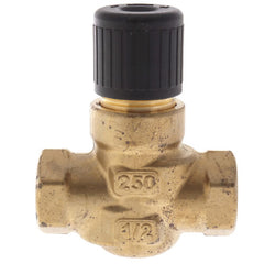 Siemens 599-02041 Globe Valve, 2 Way, 1/2 in. NPT, 4 Cv