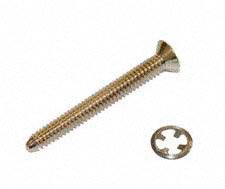 Hayward SPX0580Z3 Face Rim Lock Screw with Fastener