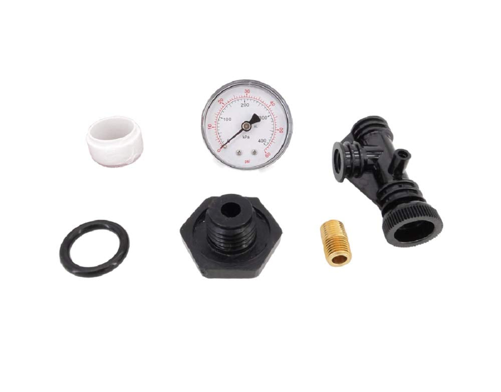 Pentair 24850-0105 Sta-Rite System 3 Air Relief Valve & PSI Gauge Assembly