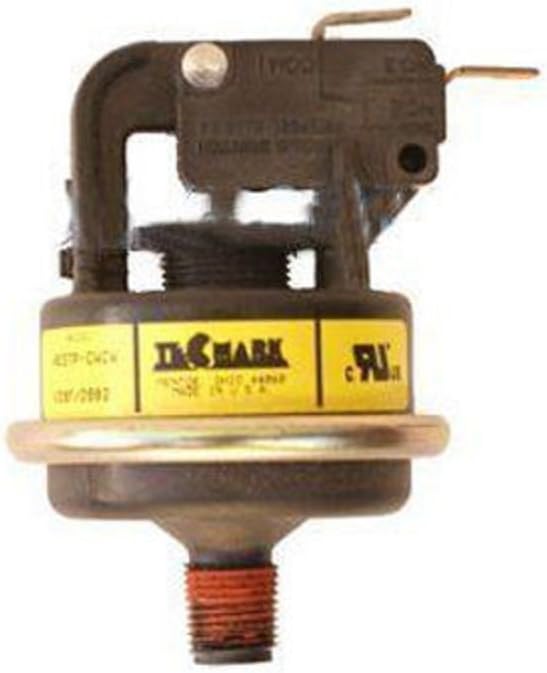 Raypak 062237B Pressure Switch