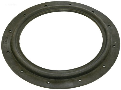 Hayward ECX1003 Diaphragm Gasket EC40/50