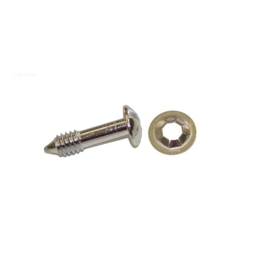 Hayward SPX0503Z20A Face Rim Lockscrew with Washer