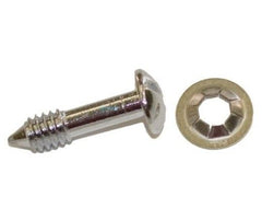 Hayward SPX0503Z20A Face Rim Lockscrew with Washer